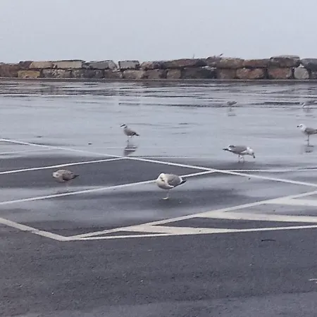 Il Mare D Inverno Apartment *